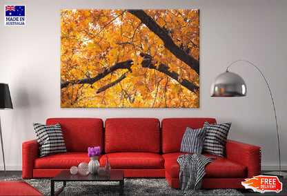 Orange Autumn Leaves Branch View Photograph Print 100% Australian Made