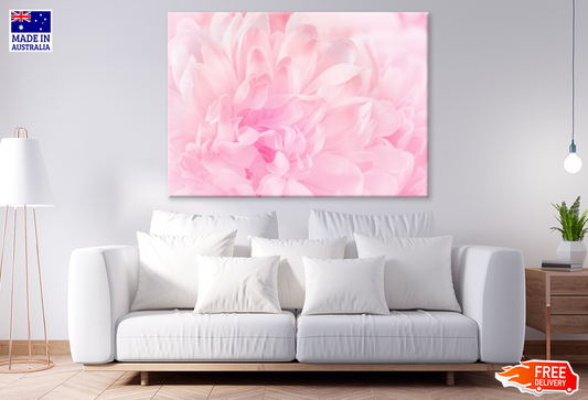 Pink Flower Macro Closeup View Photograph Print 100% Australian Made