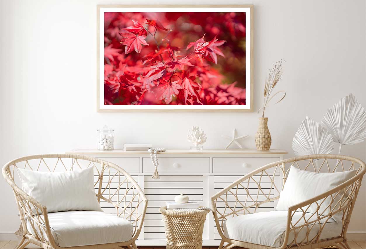 Red Maple Leaves Branch View Photograph Home Decor Premium Quality Poster Print Choose Your Sizes