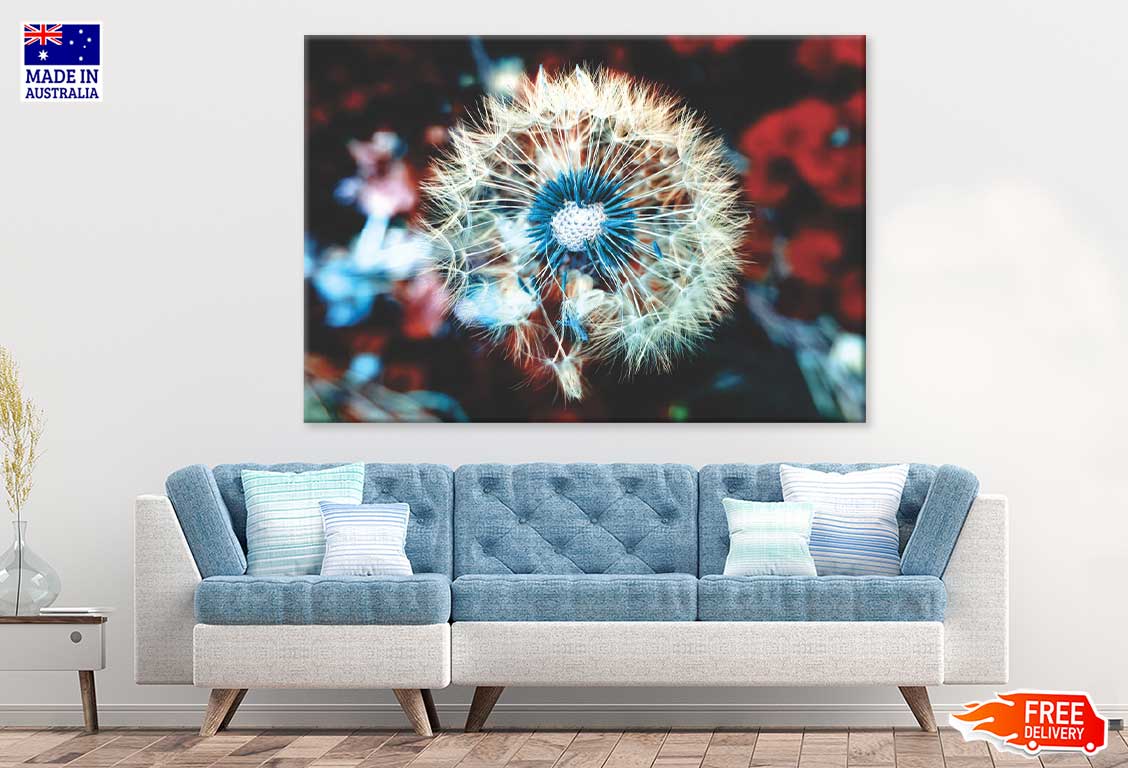 White Blue Dandelion Closeup View Photograph Print 100% Australian Made