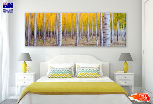 Panoramic Canvas Yellow Tree Forest High Quality 100% Australian made wall Canvas Print ready to hang