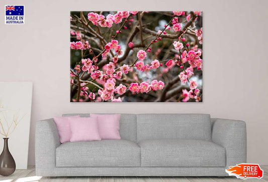 Red Plum Blossom Flower Branch View Photograph Print 100% Australian Made