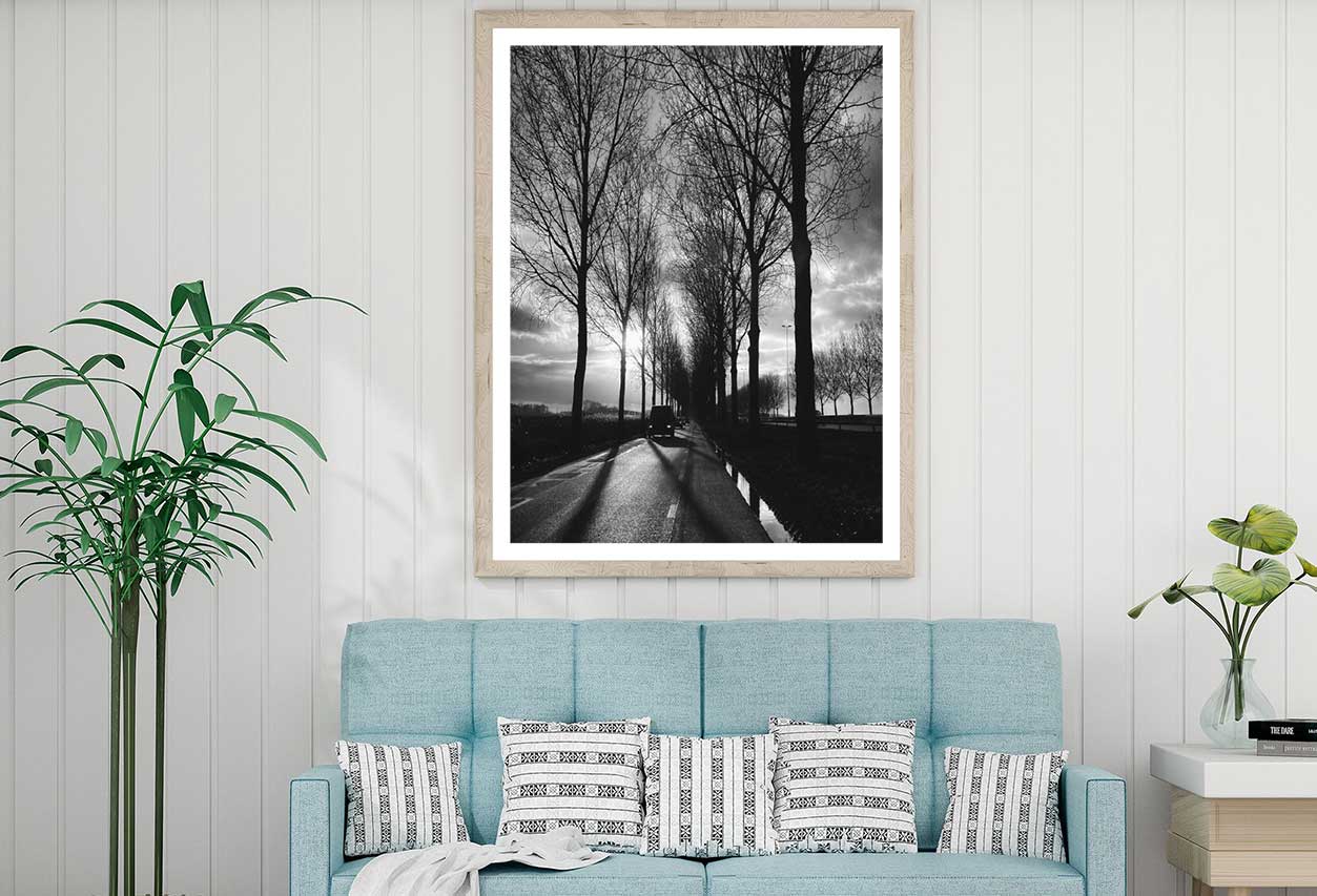 Trees Covered Road with Car B&W View Photograph Home Decor Premium Quality Poster Print Choose Your Sizes