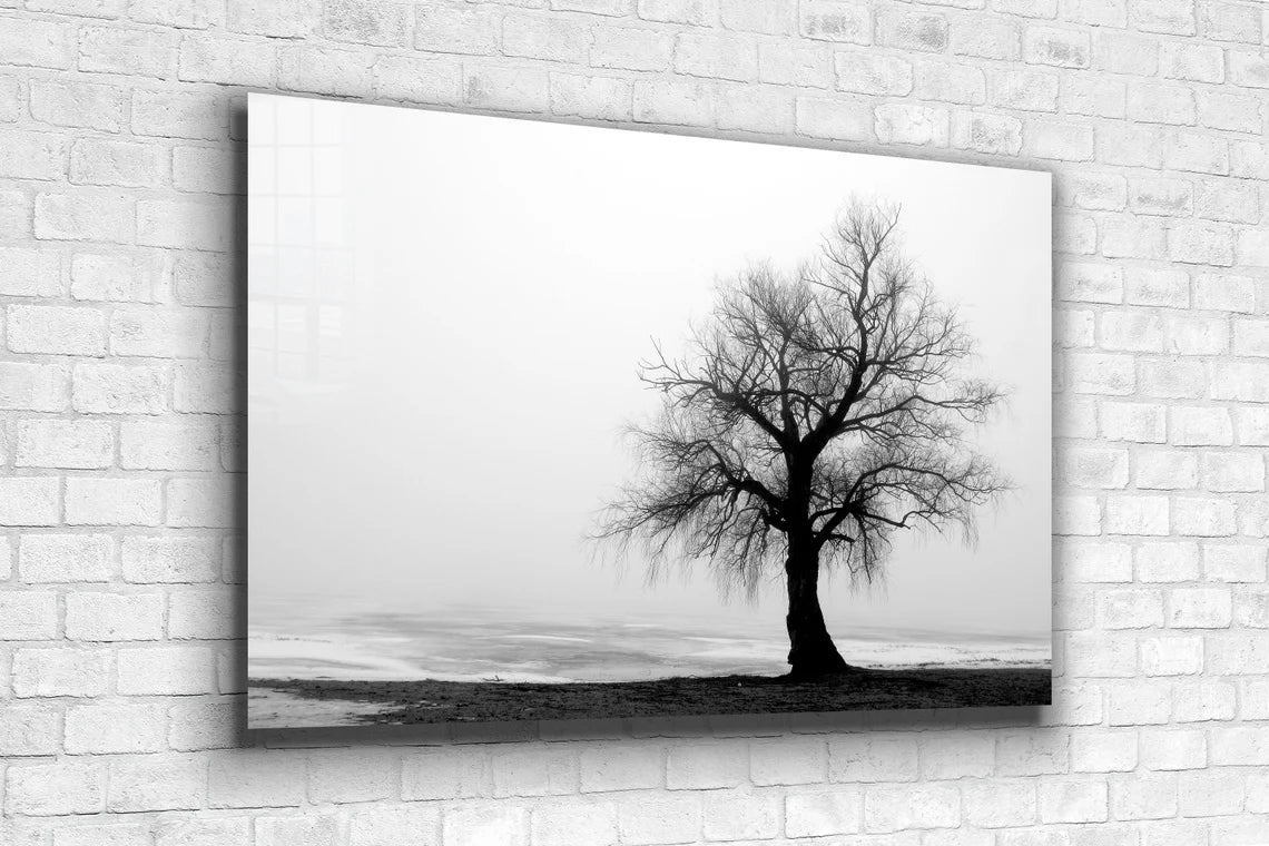 Alone Tree B&W View Print Tempered Glass Wall Art 100% Made in Australia Ready to Hang