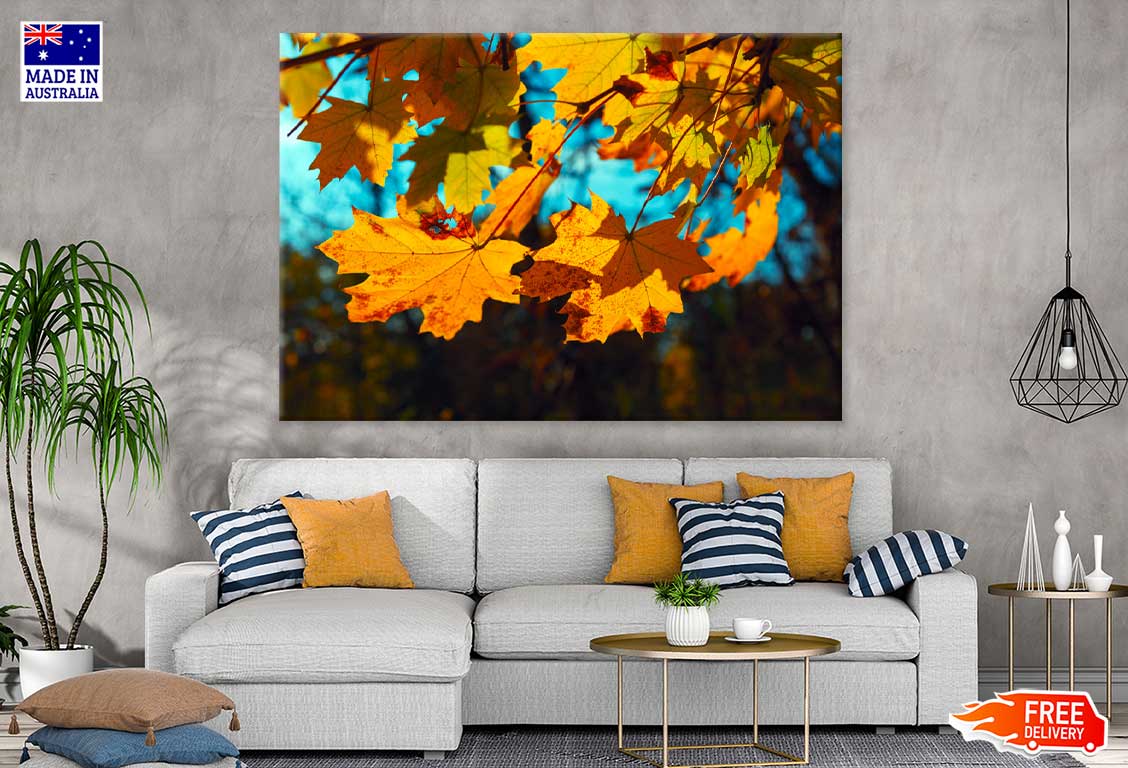 Autumn Maple Leaves Closeup View Photograph Print 100% Australian Made