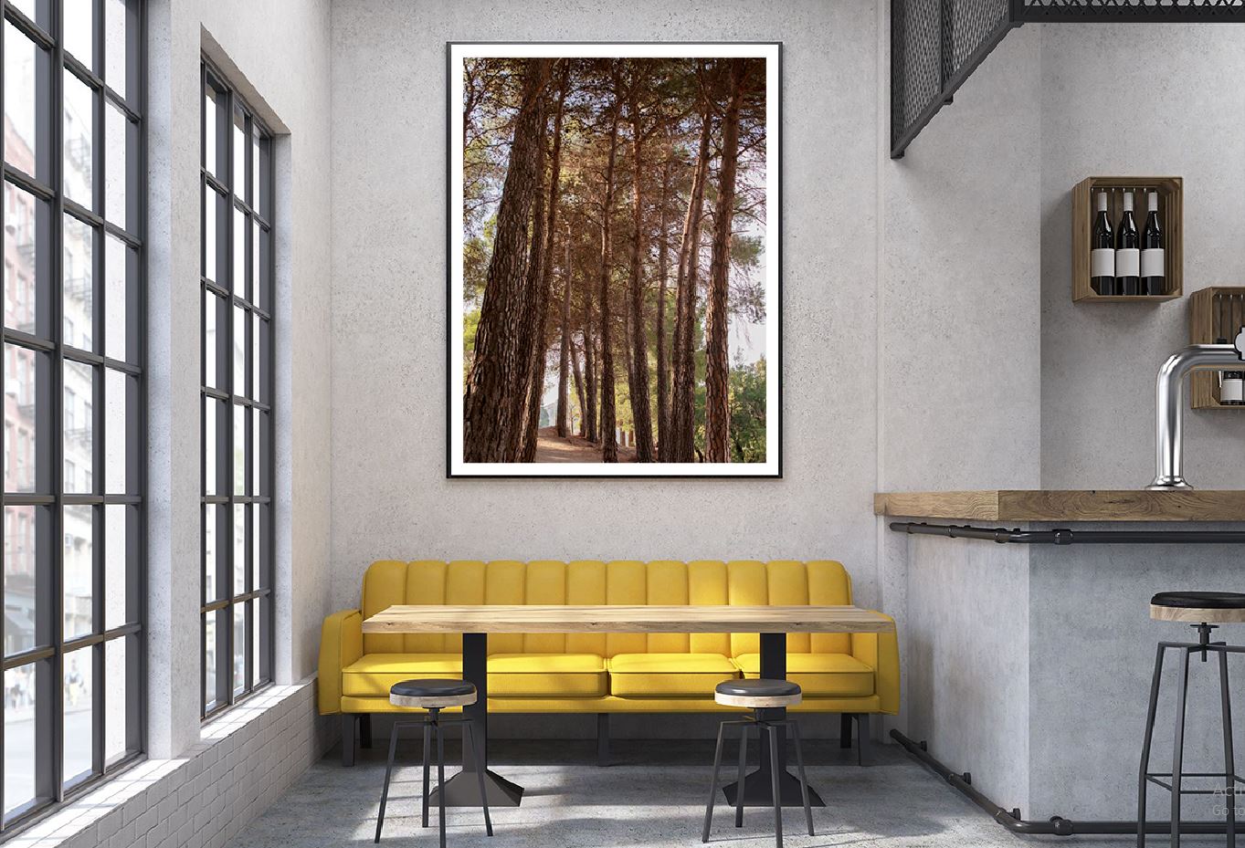 Tall Trees Forest View Photograph Home Decor Premium Quality Poster Print Choose Your Sizes