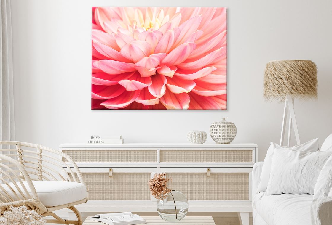 Dahlia Flower Macro Photograph View Print 100% Australian Made