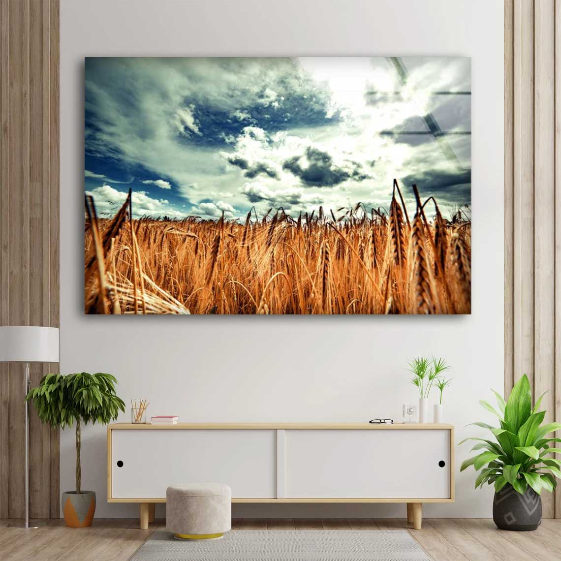 Wheat Field & Sky Photograph Acrylic Glass Print Tempered Glass Wall Art 100% Made in Australia Ready to Hang