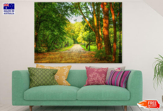 Road Near Huge Forest Photograph Print 100% Australian Made