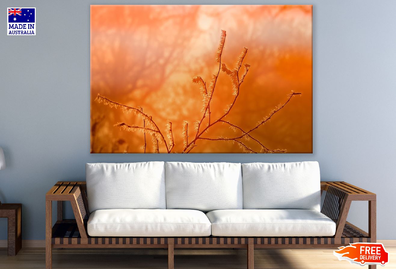 Orange Plant Sunset Photograph Print 100% Australian Made