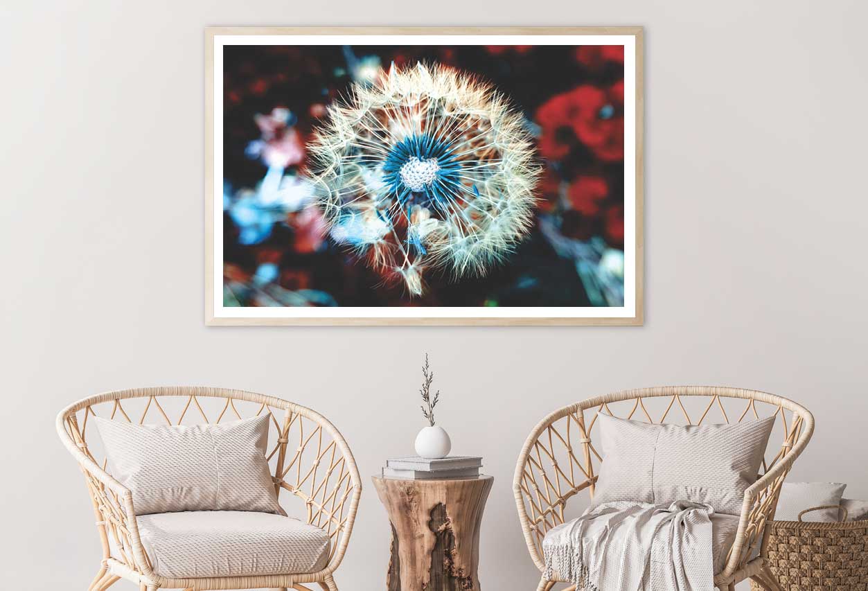 White Blue Dandelion Closeup View Photograph Home Decor Premium Quality Poster Print Choose Your Sizes