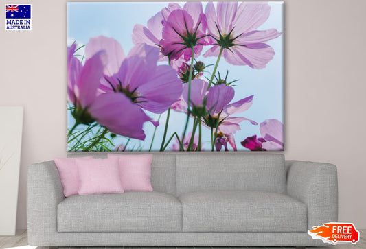 Purple Flower Closeup Photograph Print 100% Australian Made