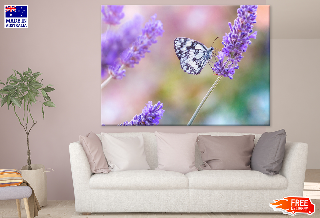 Lavender Flowers & Butterfly Photograph Print 100% Australian Made