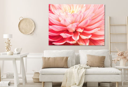 Dahlia Flower Macro Photograph View Print 100% Australian Made