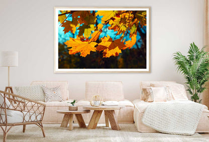 Autumn Maple Leaves Closeup View Photograph Home Decor Premium Quality Poster Print Choose Your Sizes