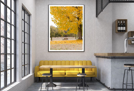 Yellow Autumn Tree on Garden View Photograph Home Decor Premium Quality Poster Print Choose Your Sizes