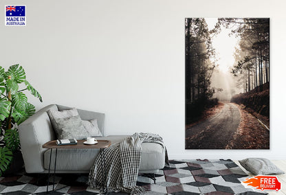 Old Road Surrounded by Tall Trees Photograph Print 100% Australian Made