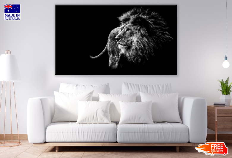 Lion B&W Photograph Print 100% Australian Made