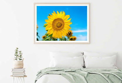 Blue Sky & Sunflower Closeup View Photograph Home Decor Premium Quality Poster Print Choose Your Sizes