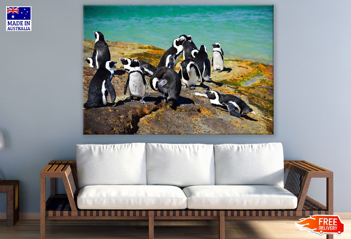 African Penguin Standing on Shore Photograph Print 100% Australian Made