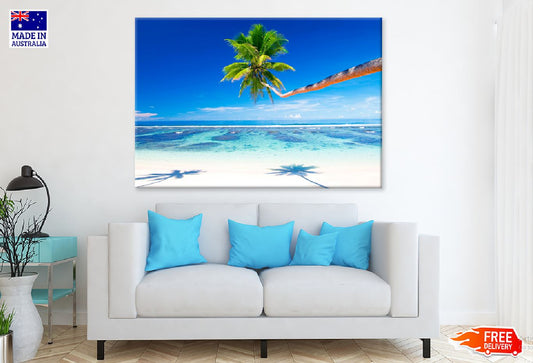 Palm Tree on Samoa Beach View Photograph Print 100% Australian Made