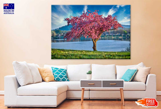 Pink Blossom Tree near Lake View Photograph Print 100% Australian Made