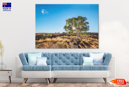 Red Gum Tree & Sunshine View Photograph Print 100% Australian Made