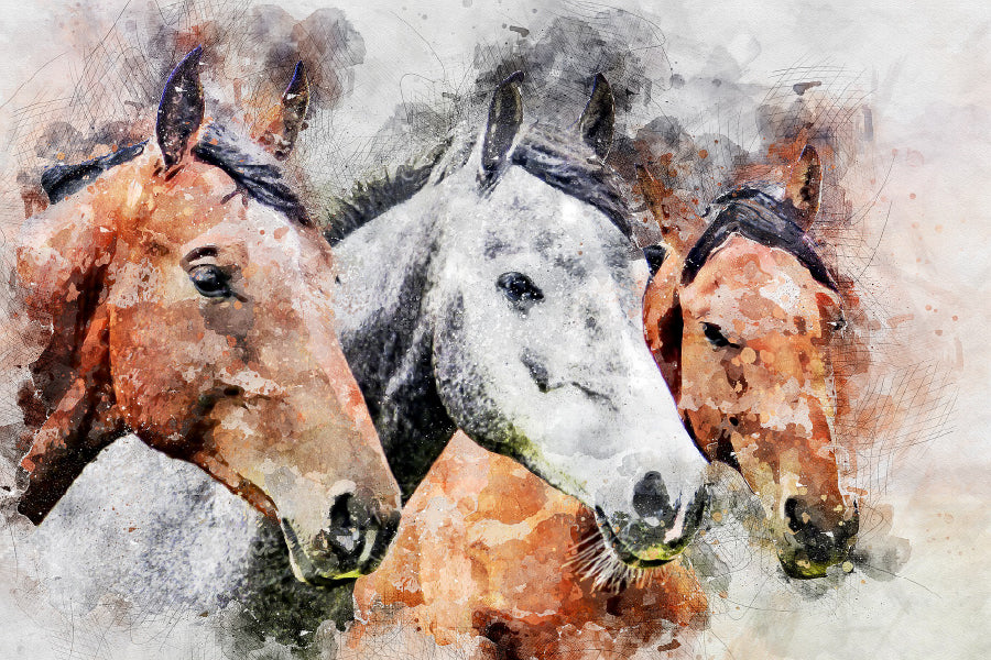 Horses Faces Watercolor Painting Print 100% Australian Made