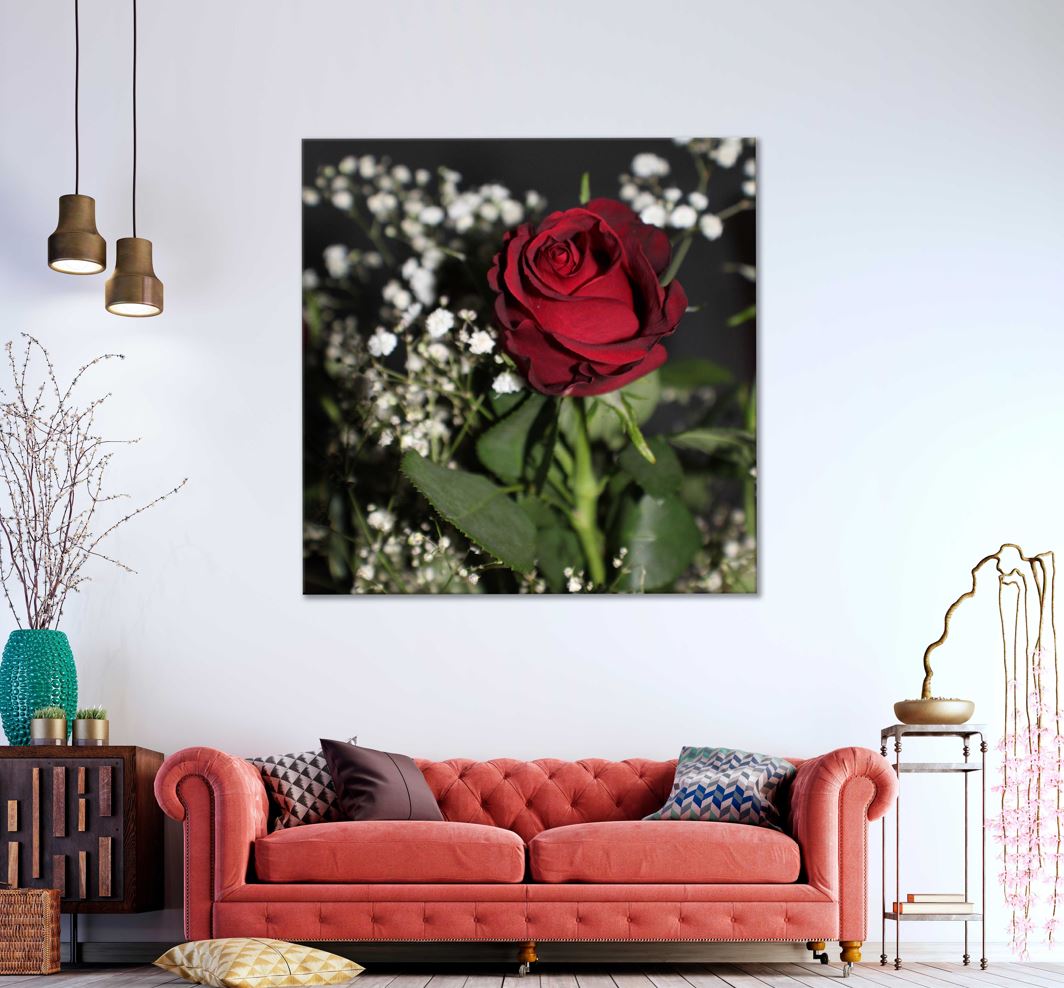 Square Canvas Red Rose with Leaves View Photograph High Quality Print 100% Australian Made