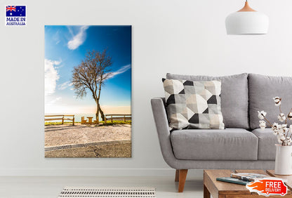 Two Trees & Bench on Top of Bay Photograph Print 100% Australian Made