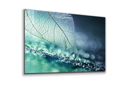 Blue Xray Leaf Digital Print Tempered Glass Wall Art 100% Made in Australia Ready to Hang