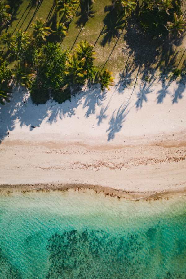 Aerial View of Sea & Palm Trees Photograph Home Decor Premium Quality Poster Print Choose Your Sizes