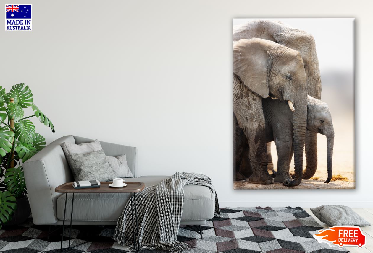 Elephant Family Portrait Photograph Print 100% Australian Made