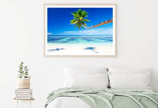 Palm Tree on Samoa Beach View Photograph Home Decor Premium Quality Poster Print Choose Your Sizes