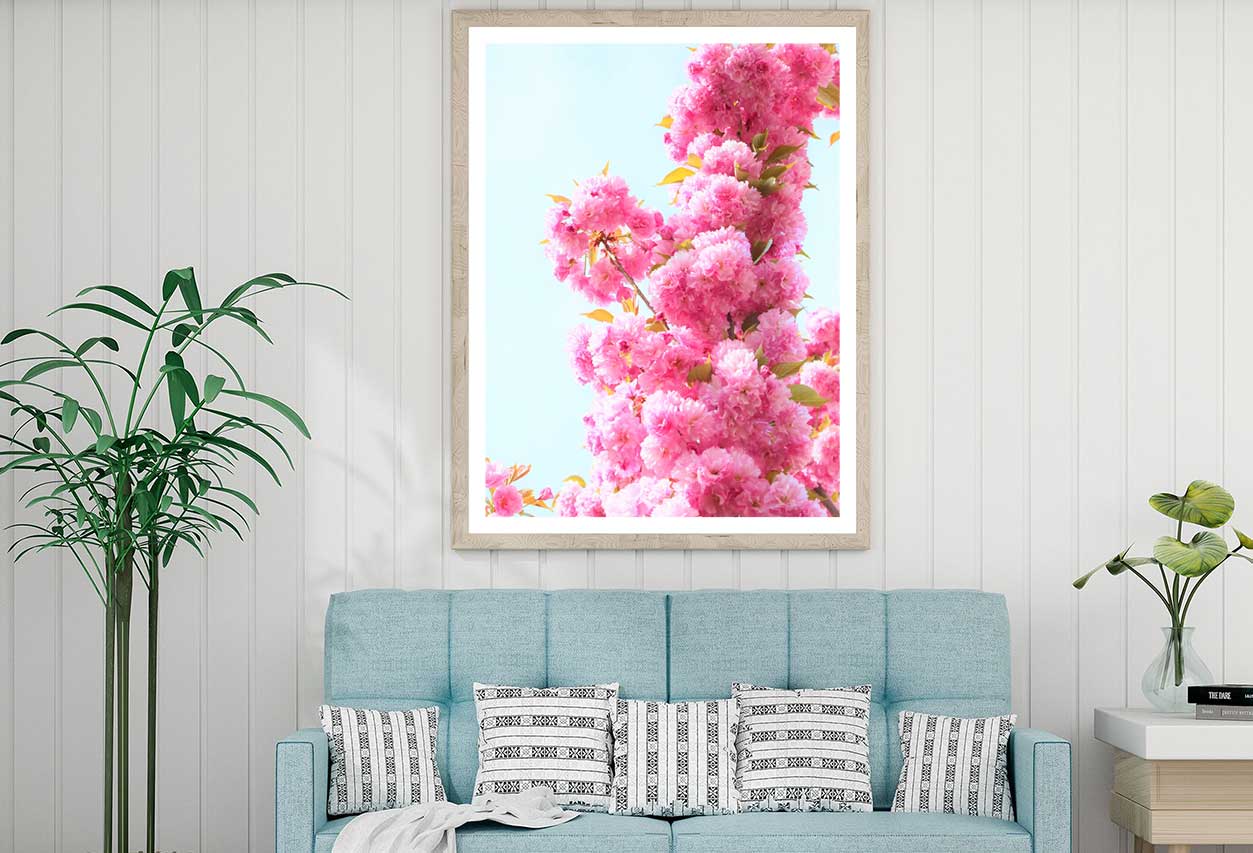 Pink Cherry Flowers with Leaves View Photograph Home Decor Premium Quality Poster Print Choose Your Sizes