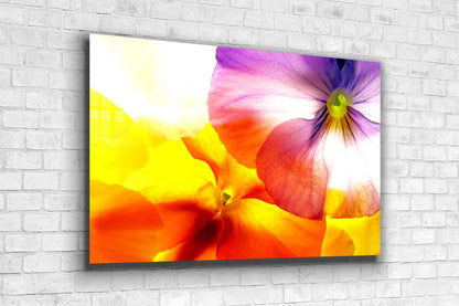 Colorful Flower Closeup Print Tempered Glass Wall Art 100% Made in Australia Ready to Hang