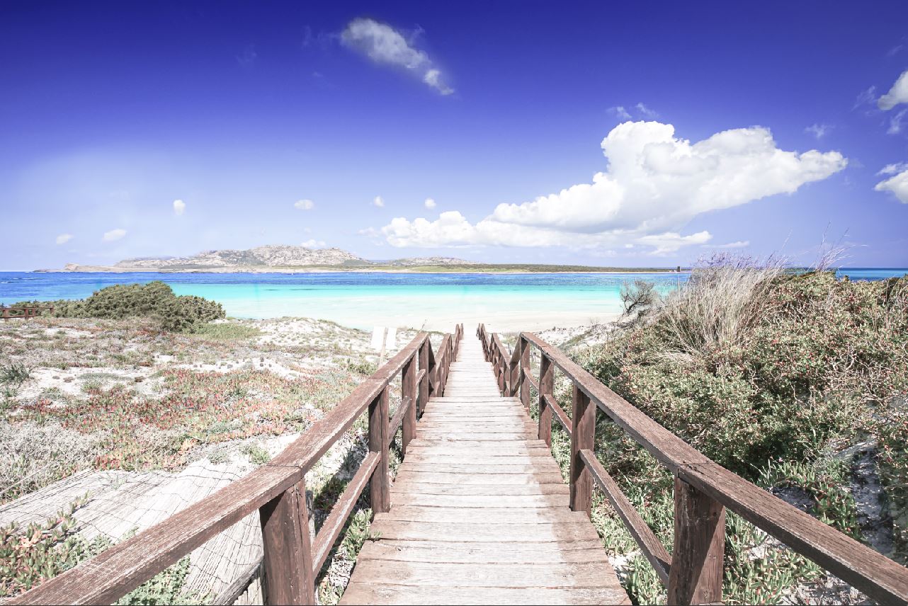 Wooden Path to Beach & Blue Sky View Print 100% Australian Made