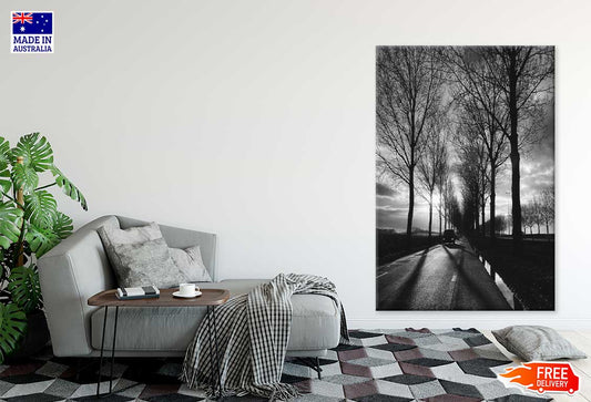 Trees Covered Road with Car B&W Photograph Print 100% Australian Made