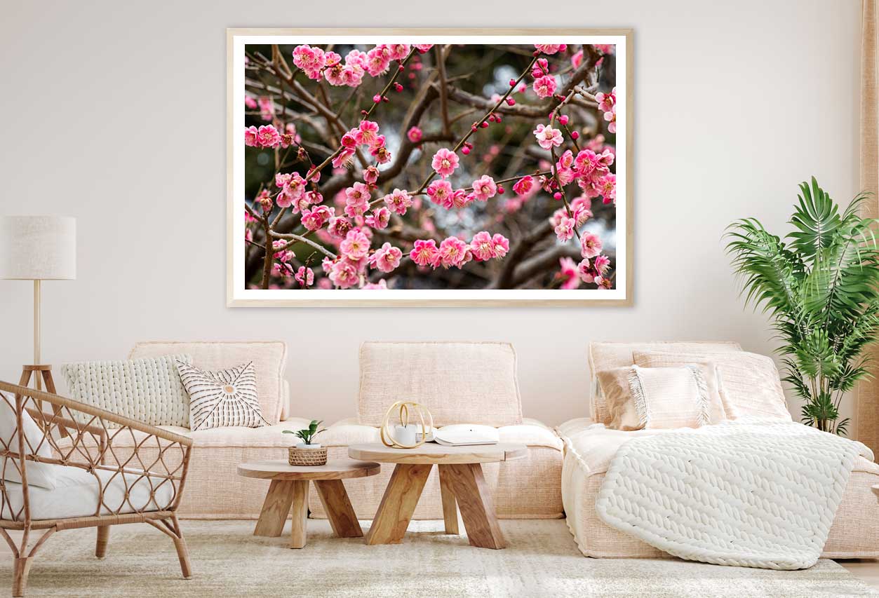 Red Plum Blossom Flower Branch View Photograph Home Decor Premium Quality Poster Print Choose Your Sizes