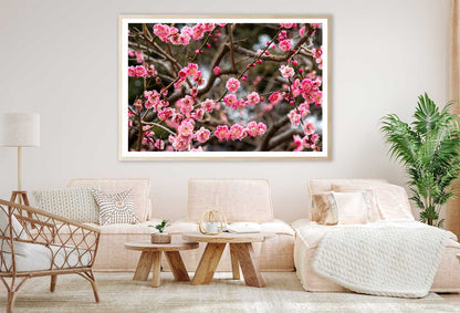 Red Plum Blossom Flower Branch View Photograph Home Decor Premium Quality Poster Print Choose Your Sizes