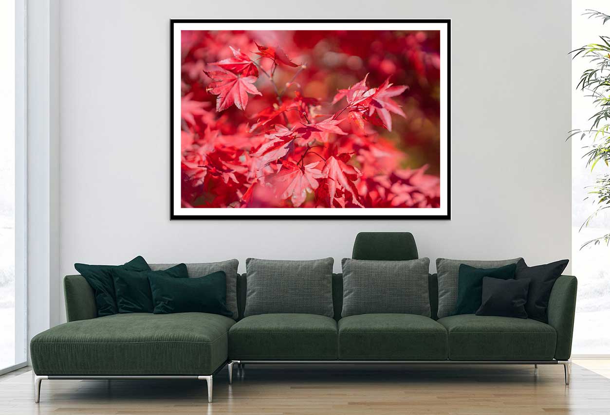 Red Maple Leaves Branch View Photograph Home Decor Premium Quality Poster Print Choose Your Sizes