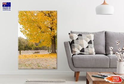 Yellow Autumn Tree on Garden View Photograph Print 100% Australian Made