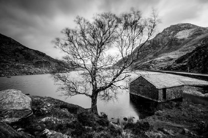 House & Tree near Lake B&W View Photograph Print 100% Australian Made