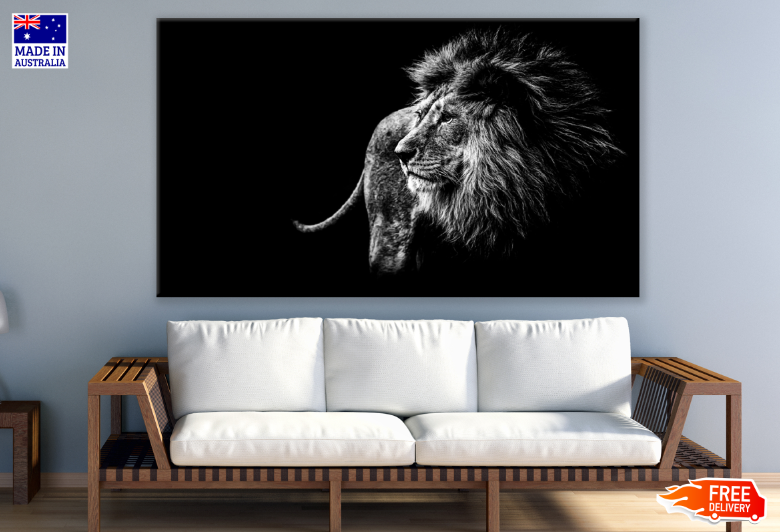 Lion B&W Photograph Print 100% Australian Made