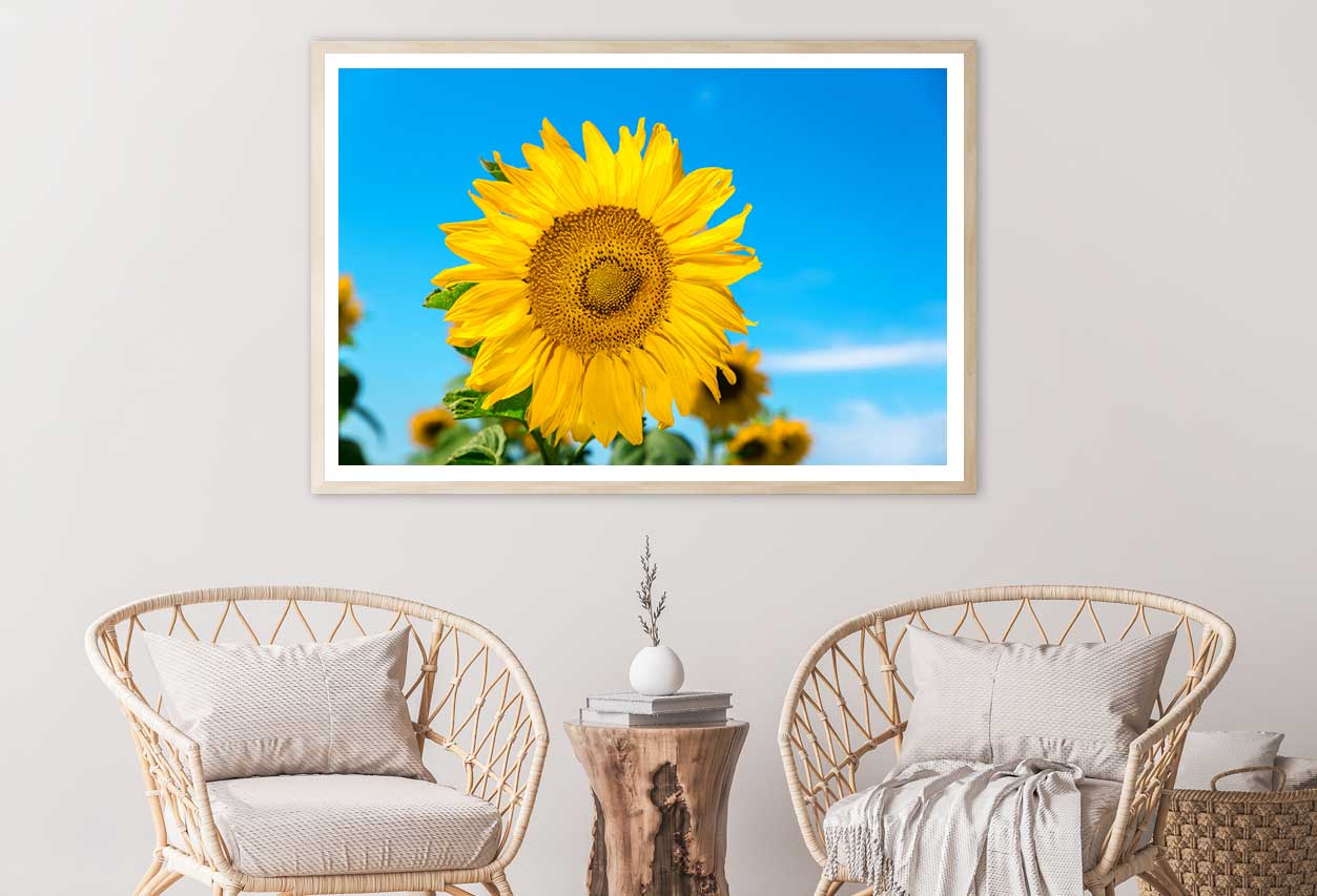 Blue Sky & Sunflower Closeup View Photograph Home Decor Premium Quality Poster Print Choose Your Sizes