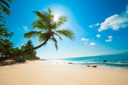 Bella Home Untouched tropical beach in Sri Lanka Print Canvas Ready to hang