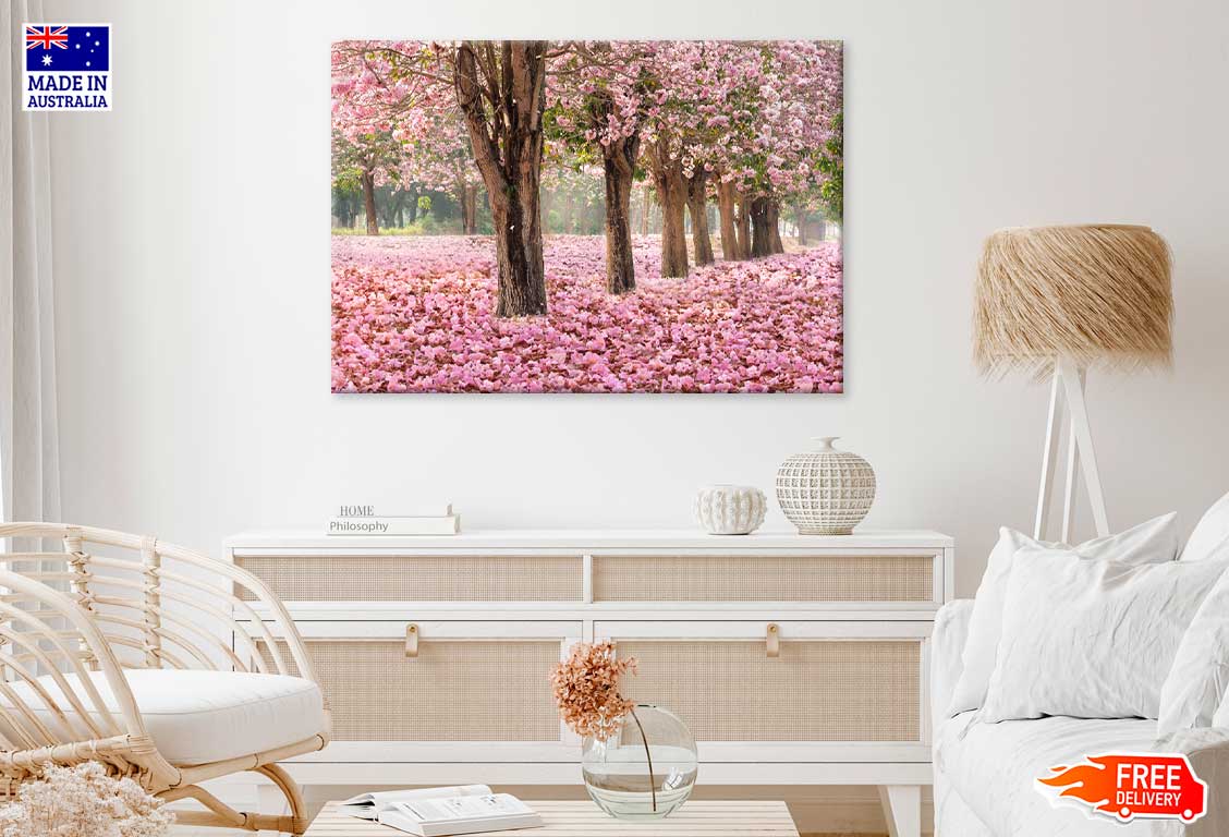 Blossom Trees & Leaves Scenery View Photograph Print 100% Australian Made