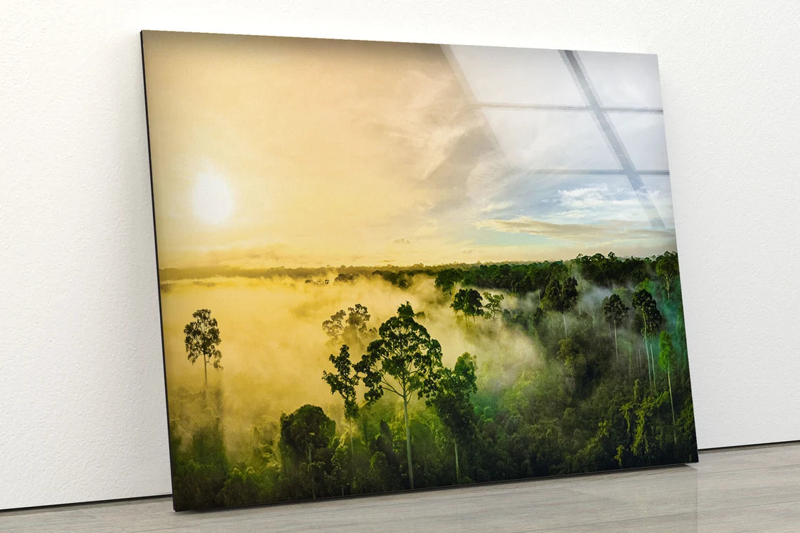 Misty Forest Sky VIew Photograph Acrylic Glass Print Tempered Glass Wall Art 100% Made in Australia Ready to Hang