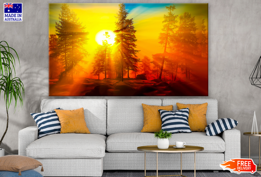 Sunrise Through a Forest Photograph Print 100% Australian Made