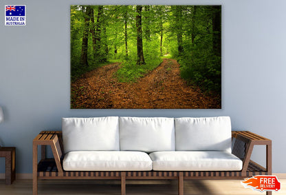 Forest with Two Paths Photograph Print 100% Australian Made